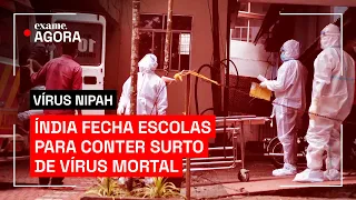 Nipah: o que é o vírus mortal que fez a Índia fechar escolas e escritórios