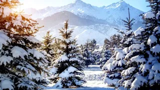 One of the most beautiful and magical winter melodies ... Winter's Tale - Edgar Tuniyants!