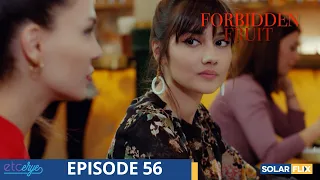 Forbidden Fruit Episode 56 | FULL EPISODE | TAGALOG DUB | Turkish Drama