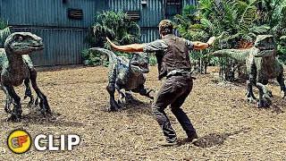 Raptors Training - "Stand Down" Scene | Jurassic World (2015) Movie Clip HD 4K