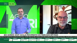 Boi gordo: Scot avalia movimento do mercado em maio