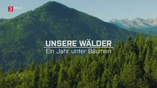 Unsere Wälder (2/3) - Ein Jahr unter Bäumen