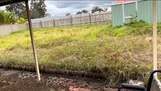 Timelapse of the full yard transformation - FREE lawn service for this elderly man