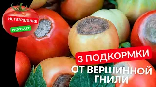 Внесите ЭТО и ВЕРШИННОЙ ГНИЛИ больше не будет, 3 проверенных средства от вершинки