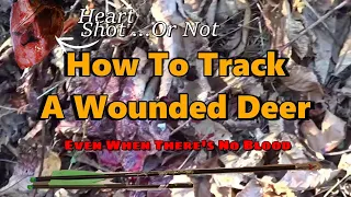 Recovering A Wounded Deer With or Without Blood
