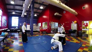 More Aikido Fun (9 Dec 2018)