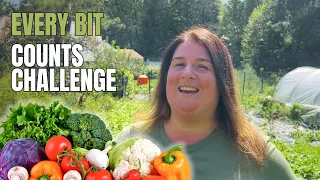 1 Month Of Food Preservation | Week 1 |  August's #everybitcountschallenge