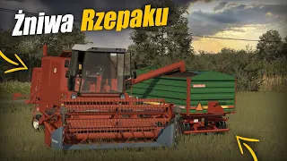 😍Żniwa Rzepaku Na Mazowszu😱KLIMAT😍Bizon & 2xUrsus & JD ❌FS22