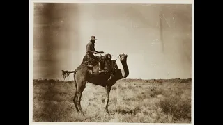 Fearsome Creature in Central Australia - Gigantic Lizard sighting in 1931