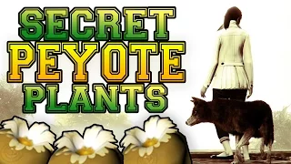 GTA 5 Mysteries - 2 More "Golden Peyote Plants" Yet to be Added!? (GTA 5 Easter Eggs & Secrets)