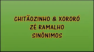 Chitãozinho & Xororó, Zé Ramalho - Sinônimos Lyrics | (Letra en Portugués) | (Traducida al Español)