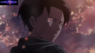 Levi Poker Face AMV #pokerface #ladygaga #leviackerman #attackontitan #fyp