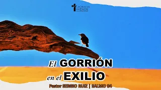 Salmo 84, El gorrión en el exilio, Pr. Sergio Ruiz.