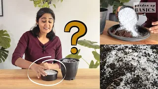 Why and how to use Perlite in soil mix | Ep. 10| Garden Up Basics