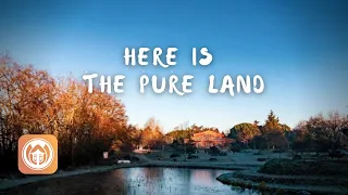 Here is the Pure Land
