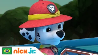 Patrulha Canina | Os Filhotes Resgatam Elefantes Fugitivos! | Nick Jr. em Português