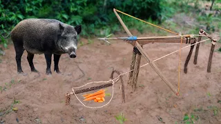 Amazing Quick Powerful Wild Pig Trap Make By Arrow Trap| New Technique Of Wild Pig Trap
