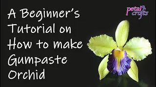 Beginner's Tutorial on how to make Cattleya Orchid from Gum paste