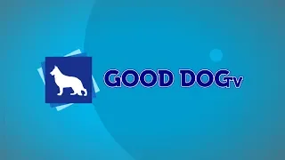 Good Dog TV: November 7, 2018