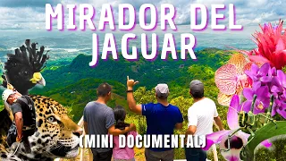 El lugar más frío de Tabasco | La majestuosa vista del Mirador del Jaguar ⚡🐆⛰️🌸🐛🌬️🌫️