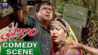 Praanam Telugu Movie Comedy Scenes | Allari Naresh | Sadha | TFC Comedy