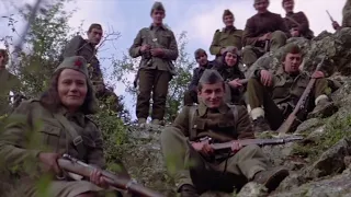 Yugoslav partisans in WW2