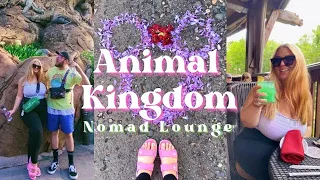 Disney's Animal Kingdom Vlog + Nomad Lounge Review 2022