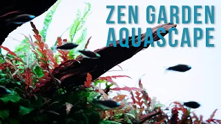 Zen Garden Aquascape - This Could Even Work Without CO2 | 4K cinematic