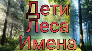 Дети Леса / Имена