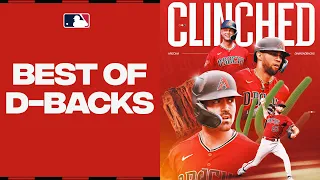 The D-backs are BACK in the postseason! Corbin Carroll, Zac Gallen, and MORE 2023 highlights!