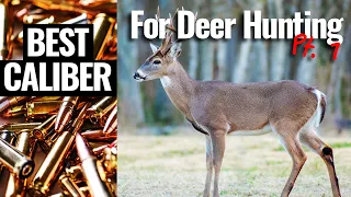 Best Caliber For Deer Hunting pt. 1 - performance metrics
