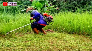 Pemilik Rumah Takut kalau Ular Bersembunyi di Rumput yang tinggi dan tebal    13 Mei 2024