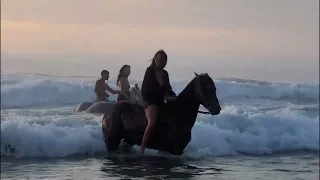 Beautiful Horse Trekking in Essaouira