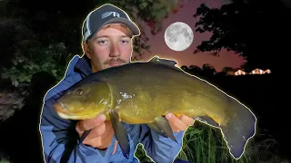 Fishing Small River for Tench & Bream for 48 Hours (Crazy Fishing) | Team Galant