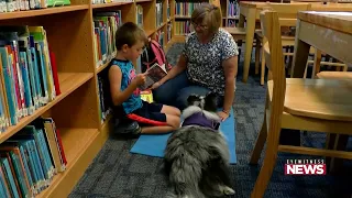 Digital Exclusives: Reading to Therapy Dogs - WBRE