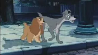 Lady and the Tramp [AMV] - "Can't Fight This Feeling" [REO Speedwagon]