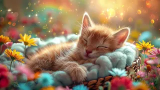 Relaxing Sleep Music - FALL INTO DEEP SLEEP, Healing Of Stress, Anxiety - Today Too, Good Night!