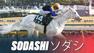 Pure White Racehorse! | The World's Most Beautiful Horse Sodashi ソダシ | 3 Breathtaking Wins In Japan!