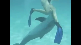 TRY NOT TO LAUGH: funny dolphin sulting ladie!