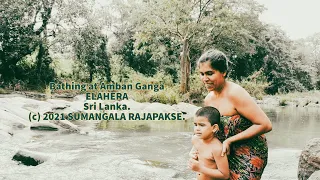 Forest Lives - Bathing in the Wilderness, Amban Ganga, Elahera - Sri Lanka.