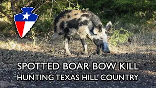 Blanco Spotted Boar Bow Kill - Amazing Blood Trail - Filmed in 4K (GRAPHIC)