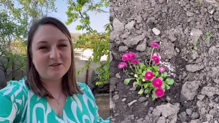 ЗЛОВИЛА НИЩІВНИКА СВОЇХ КВІТІВ. ПІСЛЯ ЗУСТРІЧІ З ДІТКАМИ ВСЯ НА ЕМОЦІЯХ. VLOG:3.05.24/3