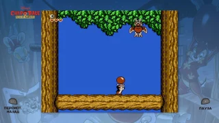 The Disney Afternoon Collection (Chip n Dale Rescue Rangers)