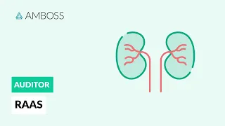 RAAS - Das Renin-Angiotensin-Aldosteron-System - AMBOSS Auditor