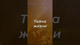 Слова со смыслом  💯  Мудрость веков. Цитаты дня #shorts