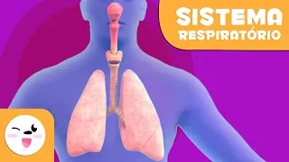 Sistema Respiratório | Corpo Humano para crianças