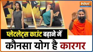 Yoga For Platelets: घटती Platelets को तेजी से बढ़ाने के लिए यह Yoga है कारगर, जानिए यह Yoga Tip