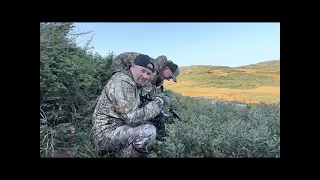 Newfoundland Moose Hunt 2023 Part 1