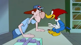 Working at the Post Office | Woody Woodpecker | Cartoons for Kids | WildBrain Bananas