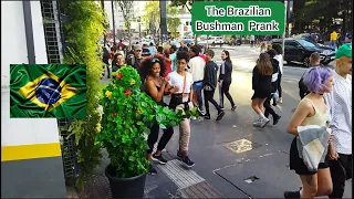 Bushman Prank in Brazil 🇧🇷🤣🤣.They all run for their life's. Hilarious reactions.